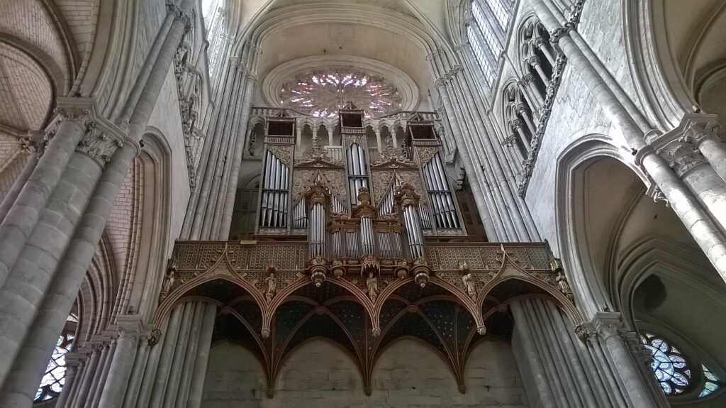ORGUE CAT x