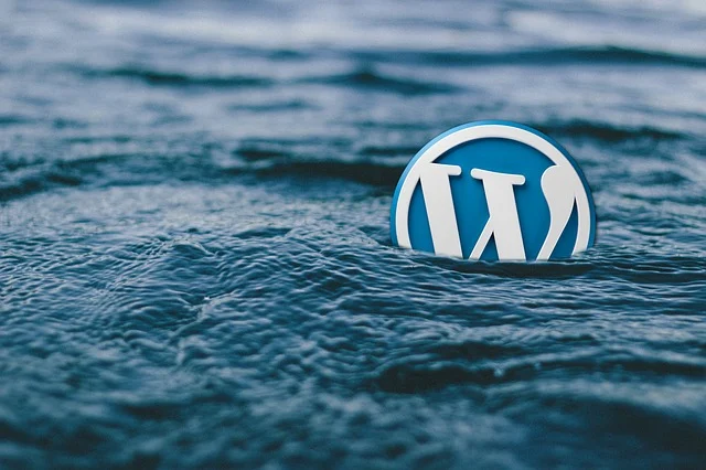 wordpress  