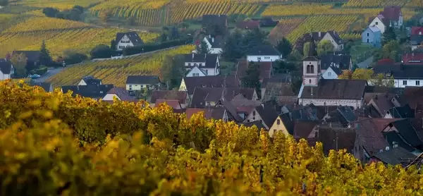 depositphotos  stock photo alsace village with vineyard riquewhir