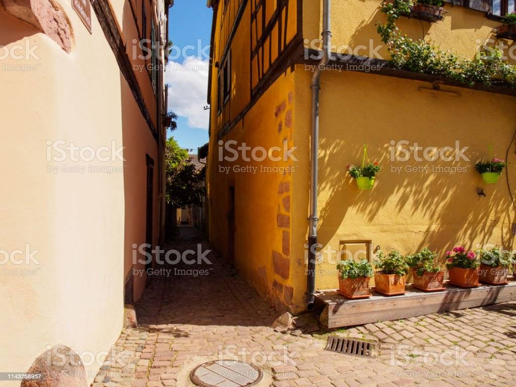 istockphoto  x 